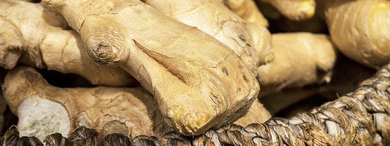 Ginger Root