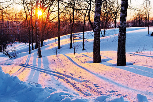 Sun coming through a snowy day